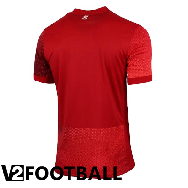 Poland Away Soccer Shirt Red 2024/2025