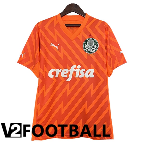 Palmeiras Goalkeeper Soccer Shirt Orange 2024/2025