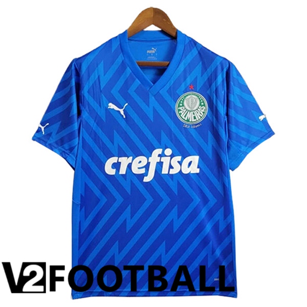 Palmeiras Goalkeeper Soccer Shirt Blue 2024/2025