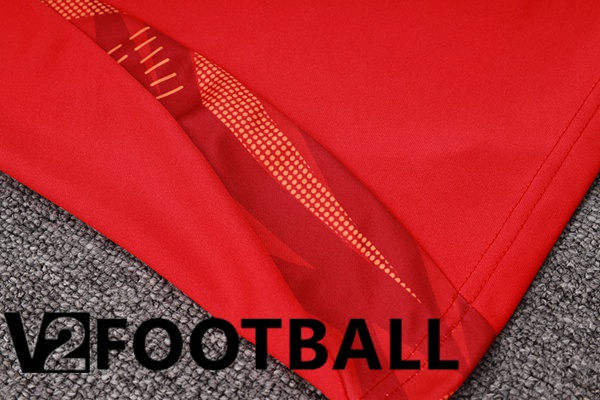 Spain kit Training Tracksuit Red Blue 2024/2025