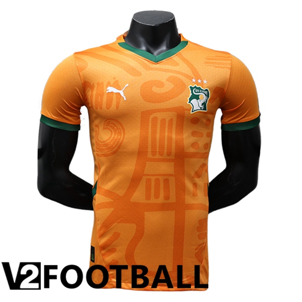 Lvory Coast Home Soccer Shirt 2024/2025