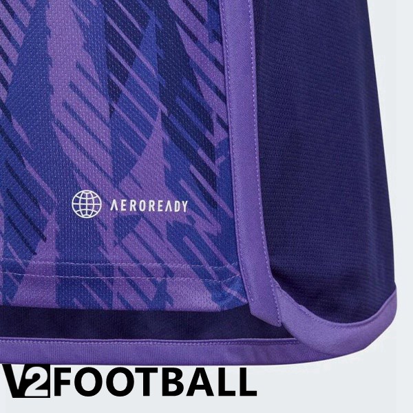 Argentina Away Shirts Purple 2023/2023