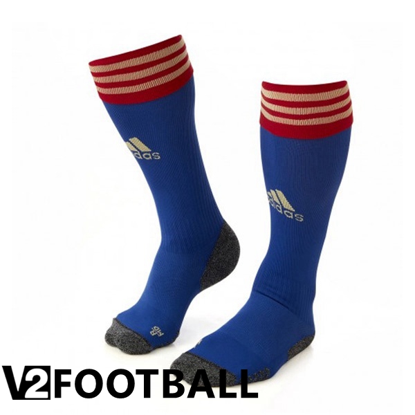 Olympique Lyon Soccer Socks Fourth Blue 2022/2023