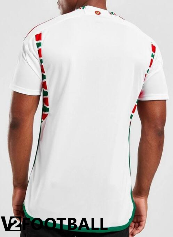 Galles Away Shirts White World Cup 2022