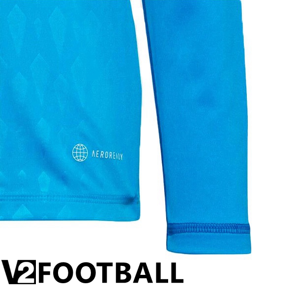 Germany Shirts Goalkeeper Long Sleeve Blue World Cup 2022