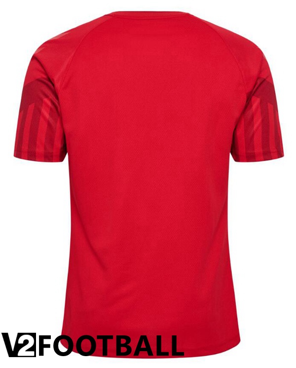 Denmark Home Shirts Red World Cup 2022