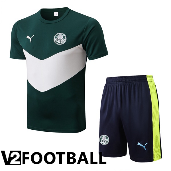 Palmeiras Training T Shirt + Shorts Green 2022/2023