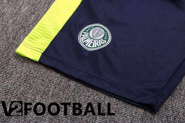 Palmeiras Training T Shirt + Shorts Green White 2022/2023