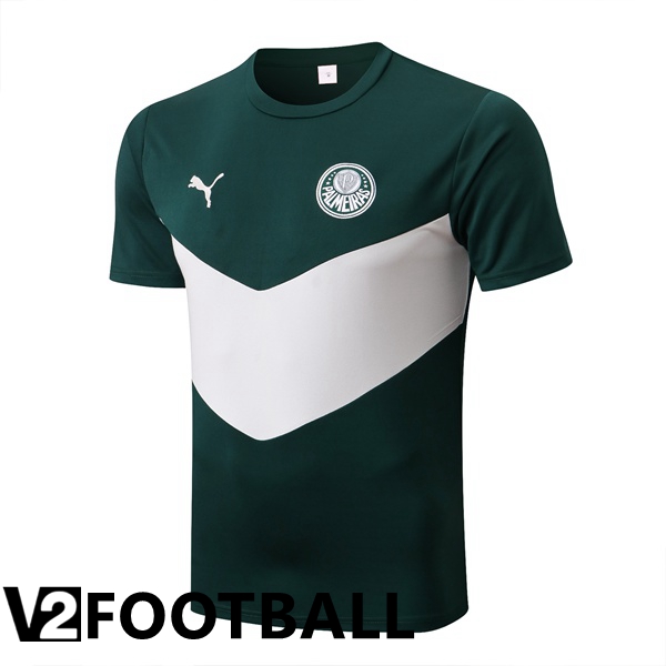 Palmeiras Training T Shirt Green 2022/2023