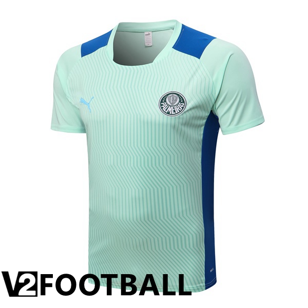 Palmeiras Training T Shirt Green 2022/2023