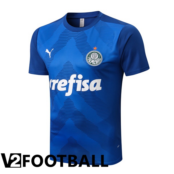 Palmeiras Training T Shirt Blue 2022/2023