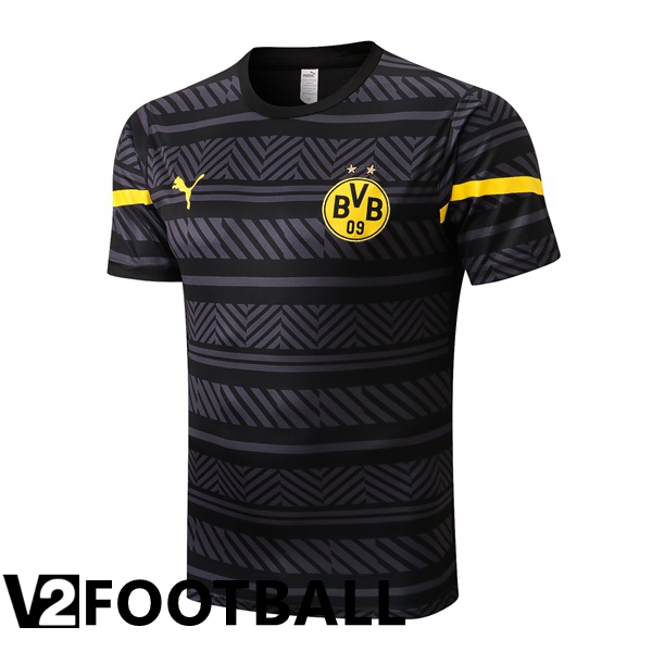 Borussia Dortmund Training T Shirt Grey 2022/2023