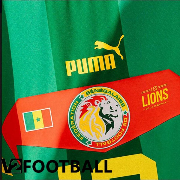 Senegal Away Shirts Green 2023/2023