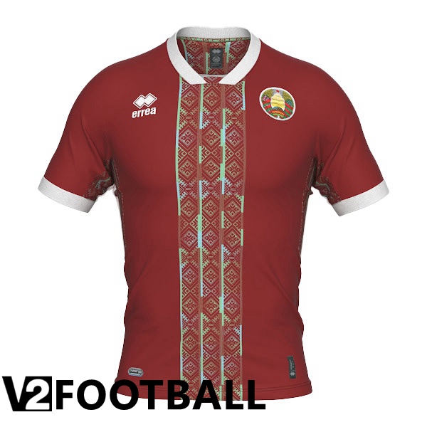 Belarus Home Shirts Brown 2023/2023